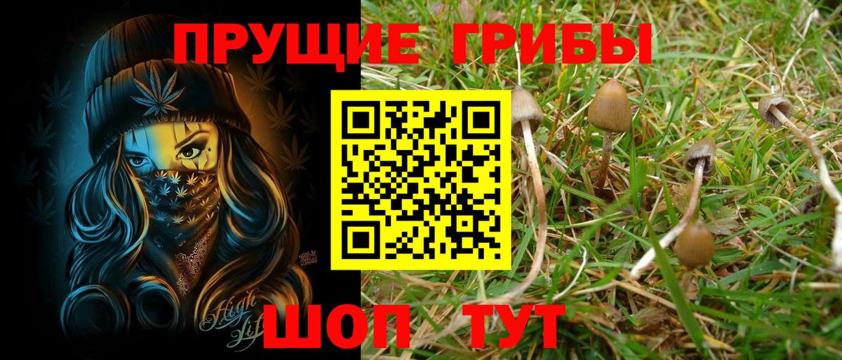 Псилоцибиновые грибы Magic Shrooms  Вход с VPN  Дятьково 